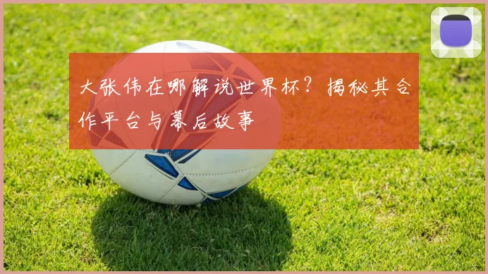 大张伟在哪解说世界杯？揭秘其合作平台与幕后故事