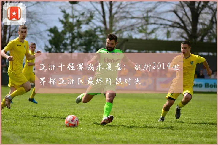 亚洲十强赛战术复盘:剖析2014世界杯亚洲区最终阶段对决