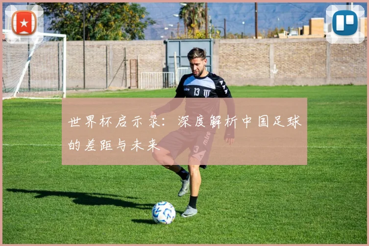 世界杯启示录：深度解析中国足球的差距与未来