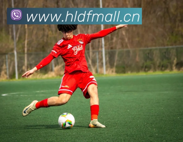 App Interface Preview